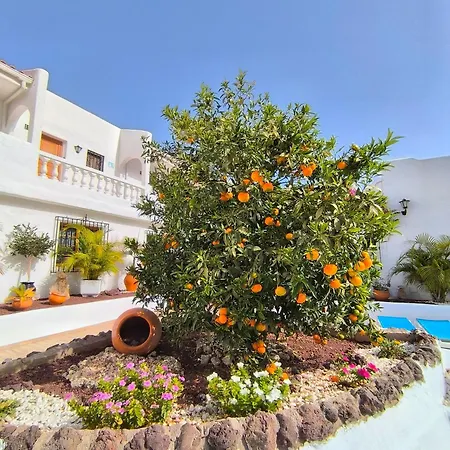 Cristianos - Breathtaking View, Ac, Heated Pool, Fibre Net Lejlighed