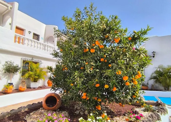 Cristianos - Breathtaking View, Ac, Heated Pool, Fibre Net Lejlighed